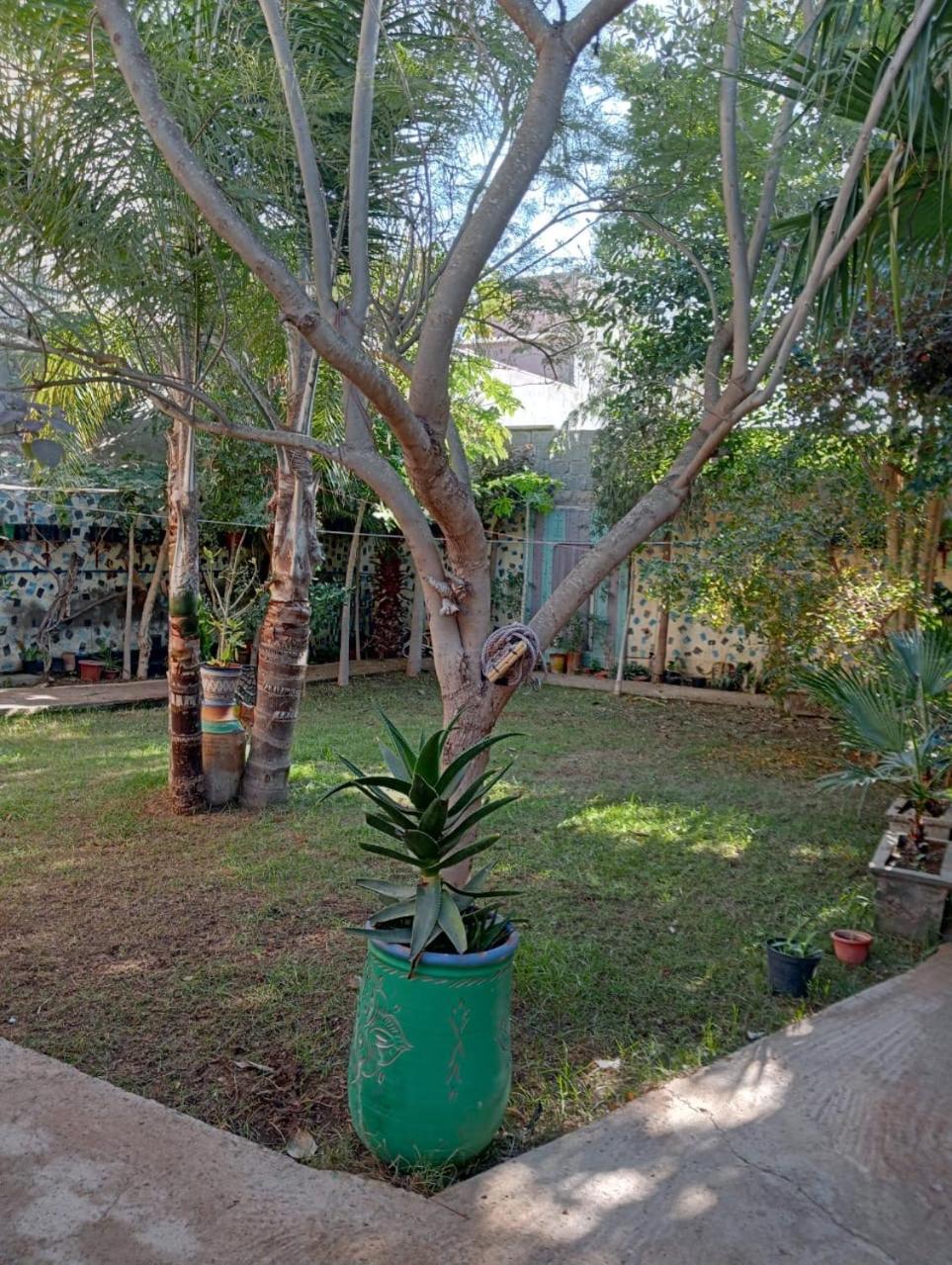Riad Targante Takate 1 Sidi Bibi Esterno foto
