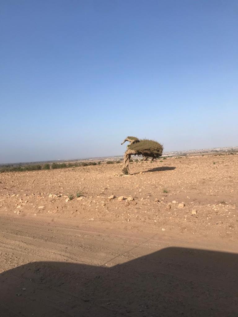 Riad Targante Takate 1 Sidi Bibi Esterno foto